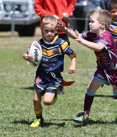 Goondiwindi Grey v Highfields Gold