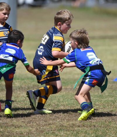 Stanthorpe v Highfields Blue