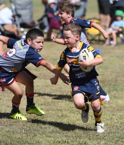 Highfields Gold v Warwick White