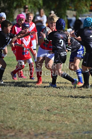 LDP_0805.jpg