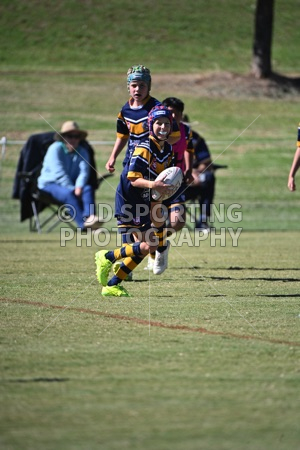 HGH_3420.jpg