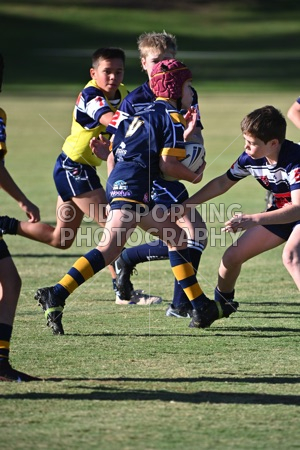 HGH_0633.jpg