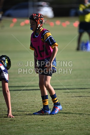 HGH_0640.jpg