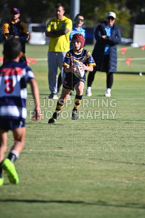 HGH_0664.jpg