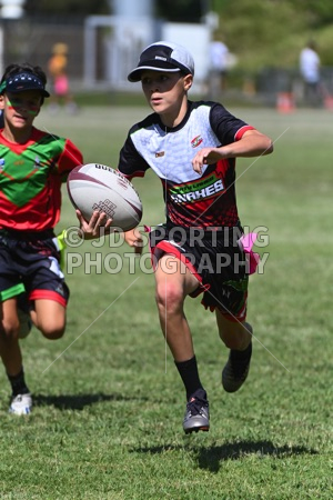 KNP_0706.jpg