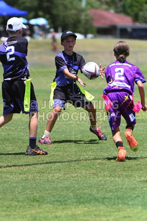 PET_5417.jpg