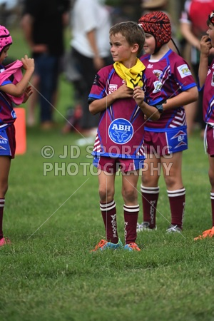 TAR_6858.jpg